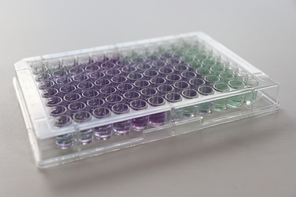 Mittels in-vitro-Assays untersuchen wir die Transporter-vermittelte Zellaufnahme sowie die Enzym-vermittelte Verstoffwechselung von Arzneistoffen.