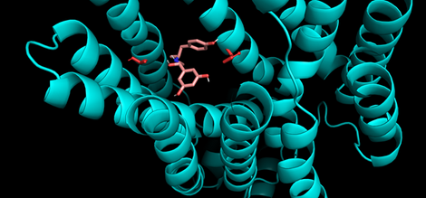 3D Struktur eines Proteins